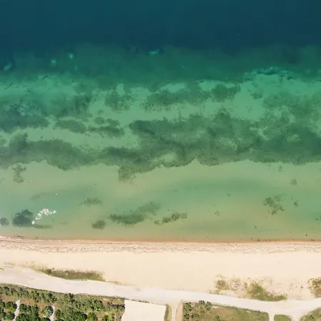 Sun 아기아 트리아스